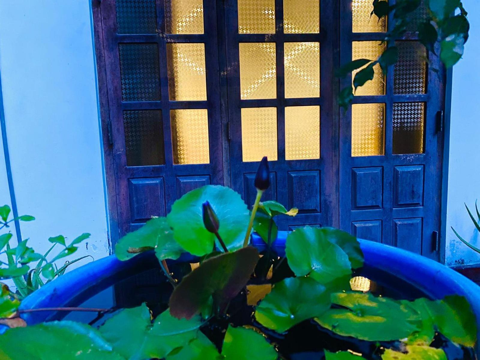 Sachi'S Place Tangalle Exterior foto